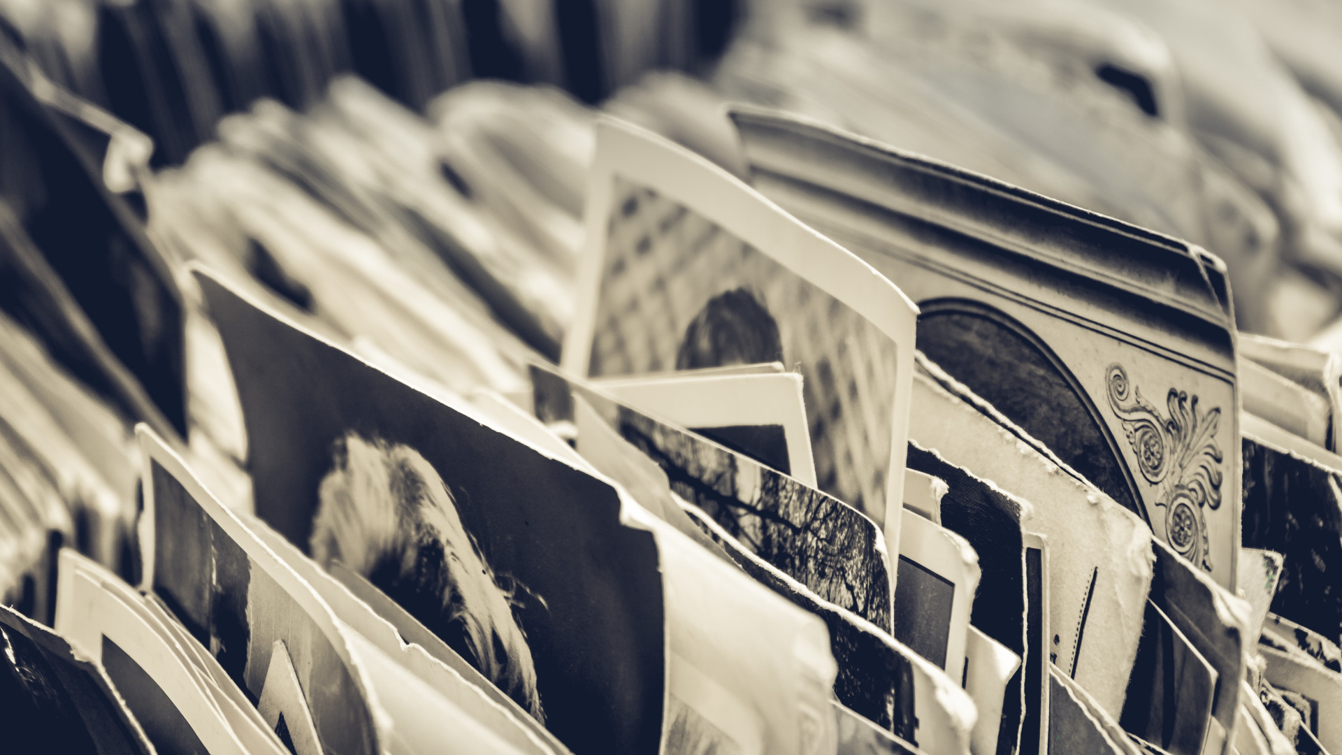 Read the Pippo Perez history